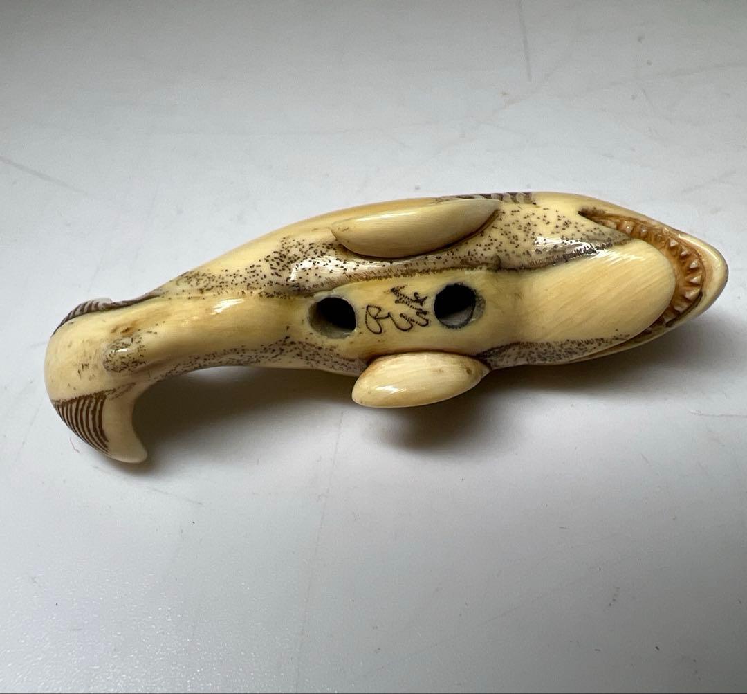 極上シャチ根付　15g 東Y8-0203☆2Fトヒサ