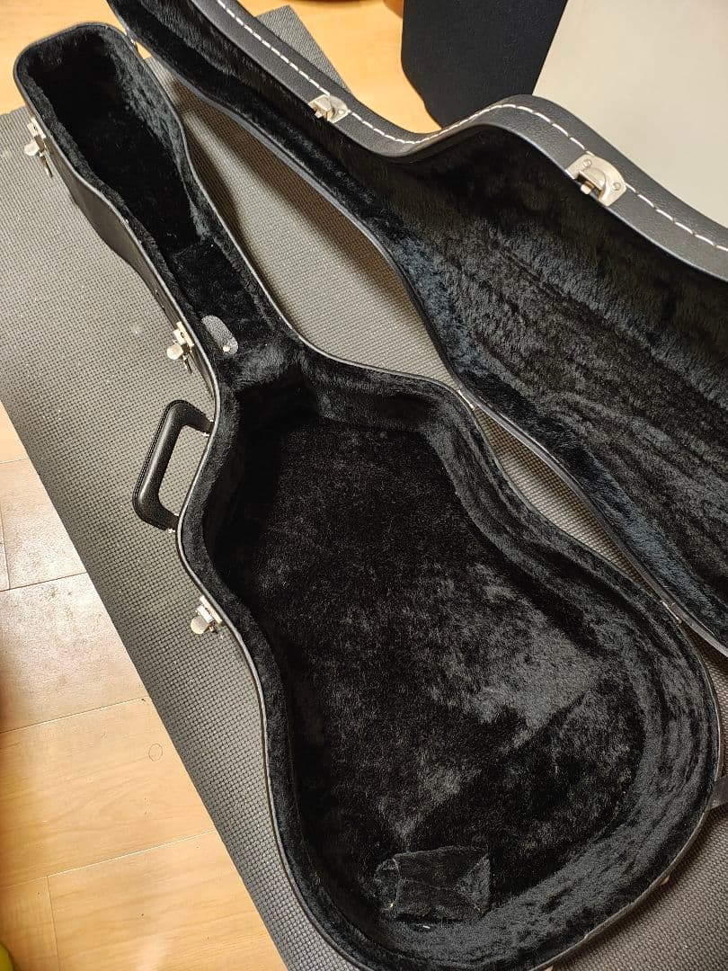 Epiphone Humming bird Pro/ハードケース