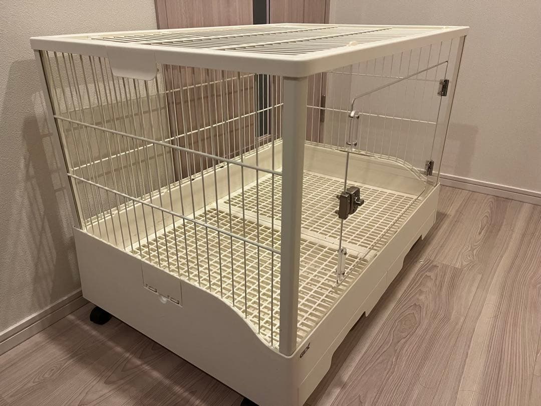 GEX 小動物用ケージ クリアフロント80 モルモット、うさぎ