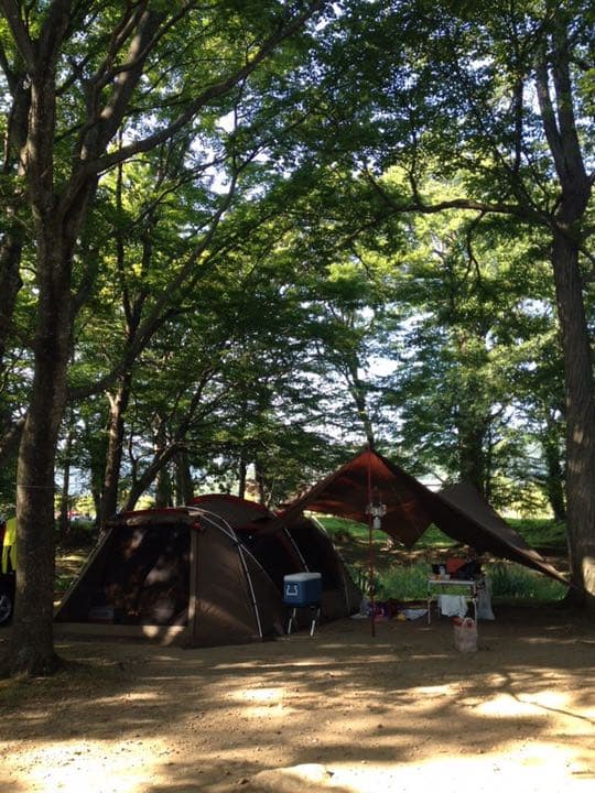 ＨＤタープシールドヘキサエヴォＰｒｏ