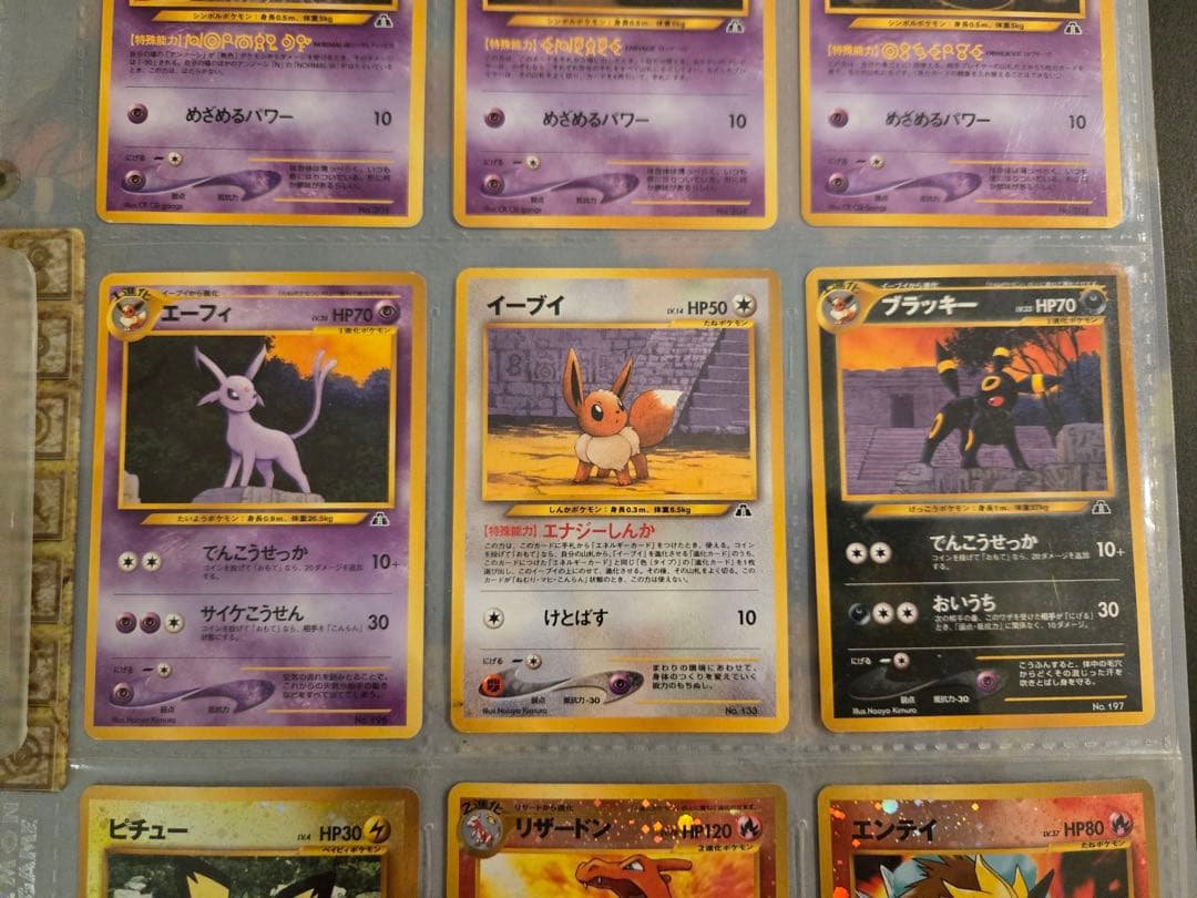 ポケモンカード ネオ プレミアムファイル2 遺跡をこえて