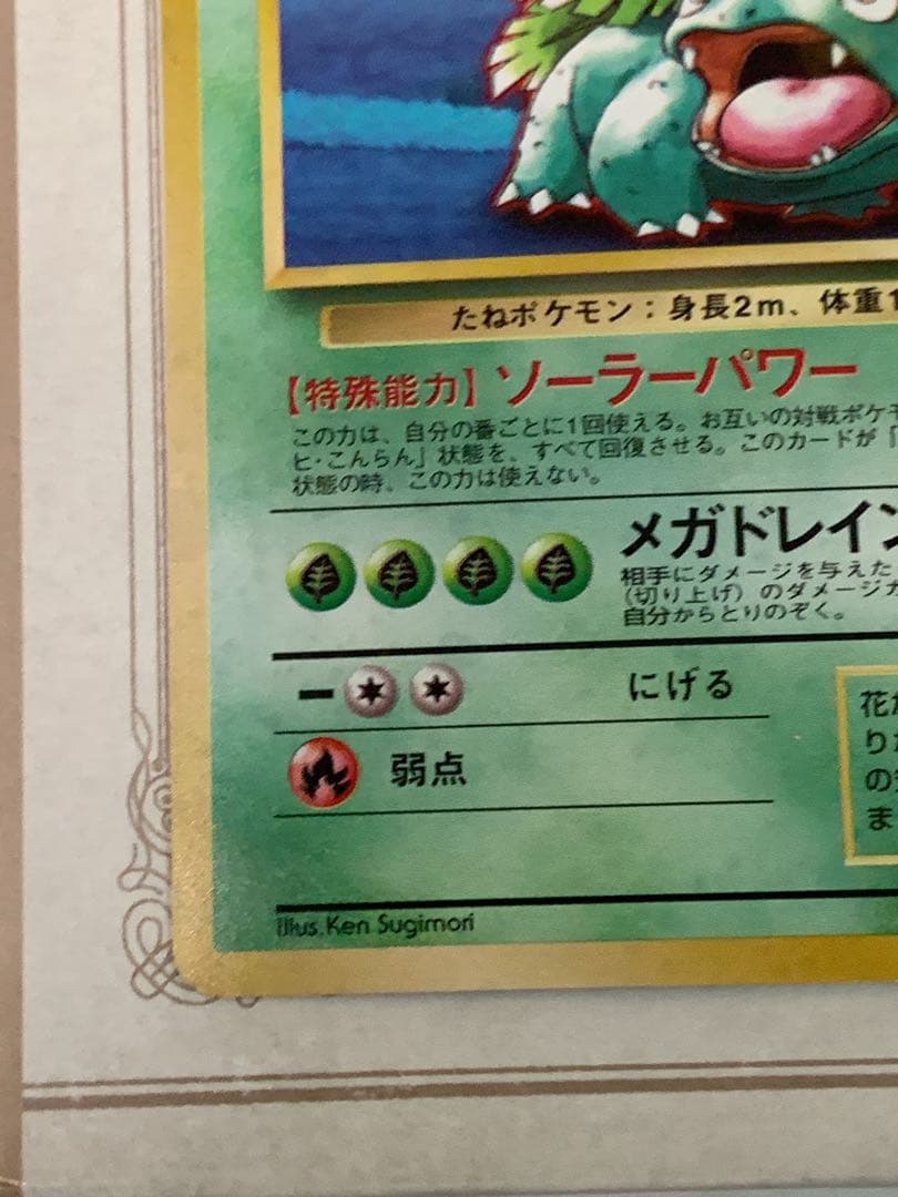 【旧裏】フシギバナ LV.64 ★ 初期GB ポケモンカードホロ