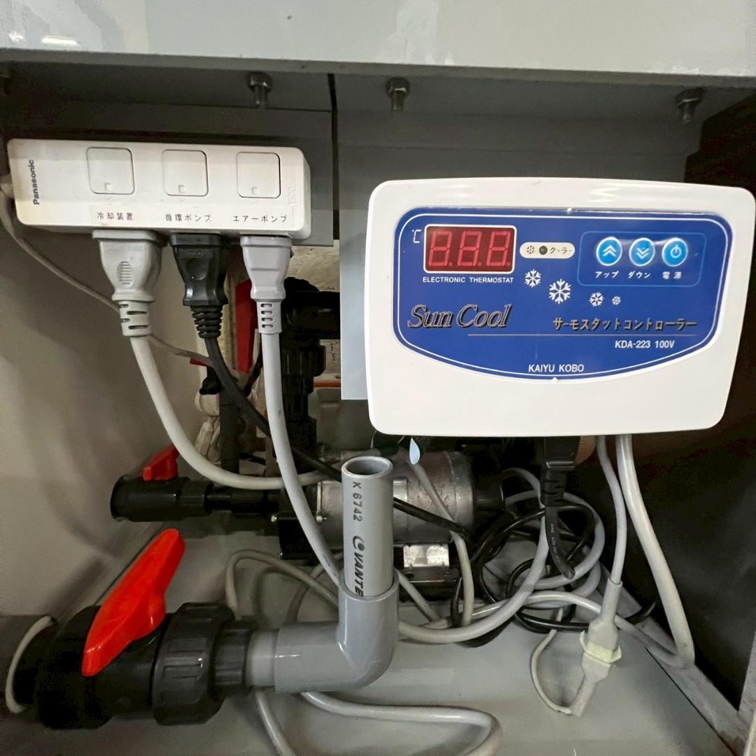 活魚水槽 セット いけす 水槽 店舗 店舗什器 厨房 厨房用品 Y2163