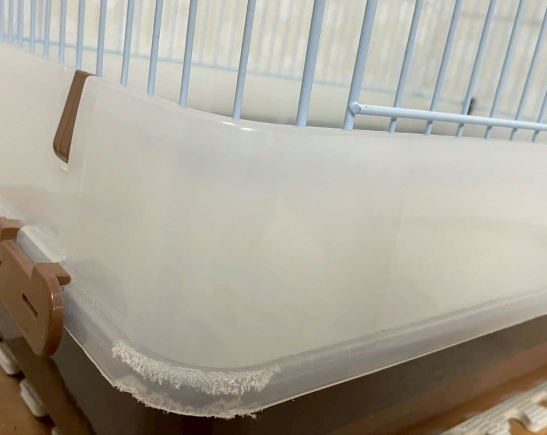 ミニマルランド　ケージ