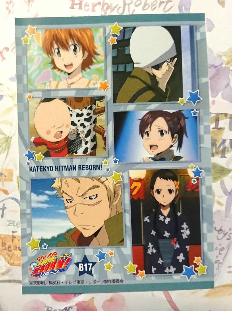 笹川京子＆三浦ハル セット　家庭教師ヒットマンREBORN