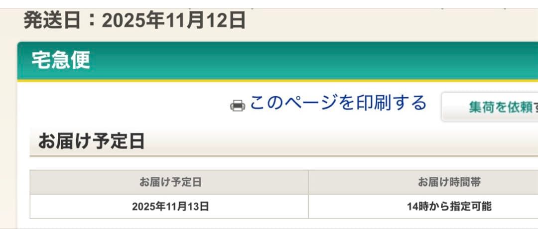 RIDE ダイヤル式　ブーツ　US14 32cm