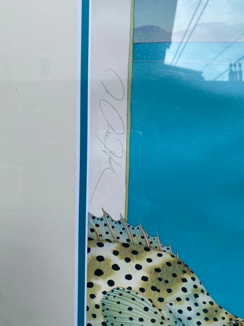 ジョアンフック　サンゴ礁の熱帯魚　285/900