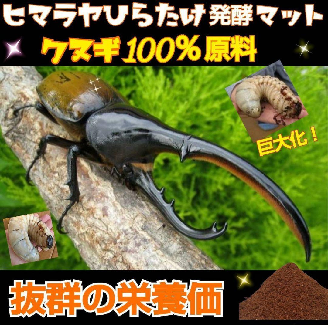 カブトムシ幼虫が大きくなる！栄養たっぷり！発酵マット【6袋】雑虫も湧きません！