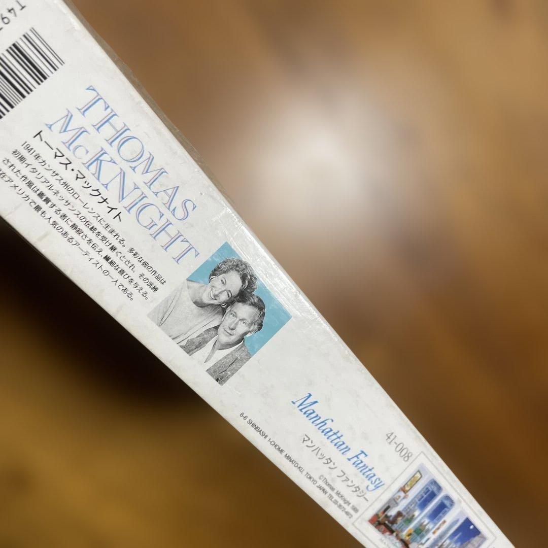 ジグソーパズル　トーマス・マックナイト　マンハッタンファンタジー　ワイドver.