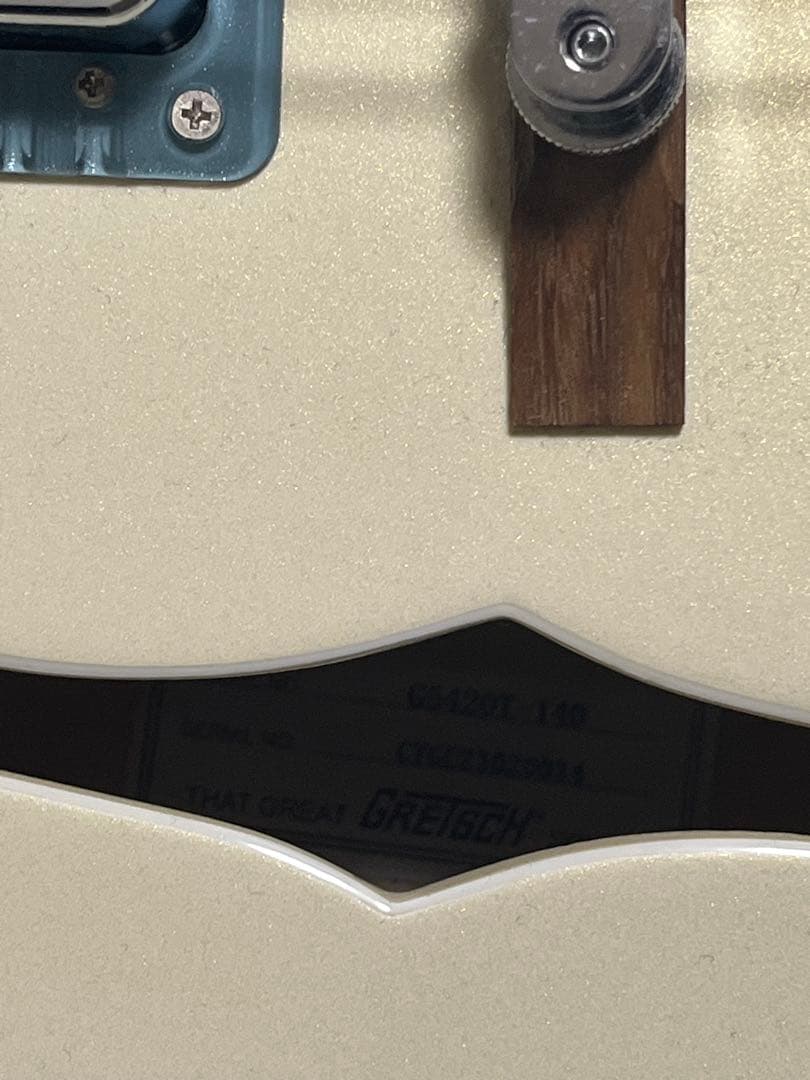 【美品・値段交渉あり】GRETSCH5420T グレッチソフトケース付き