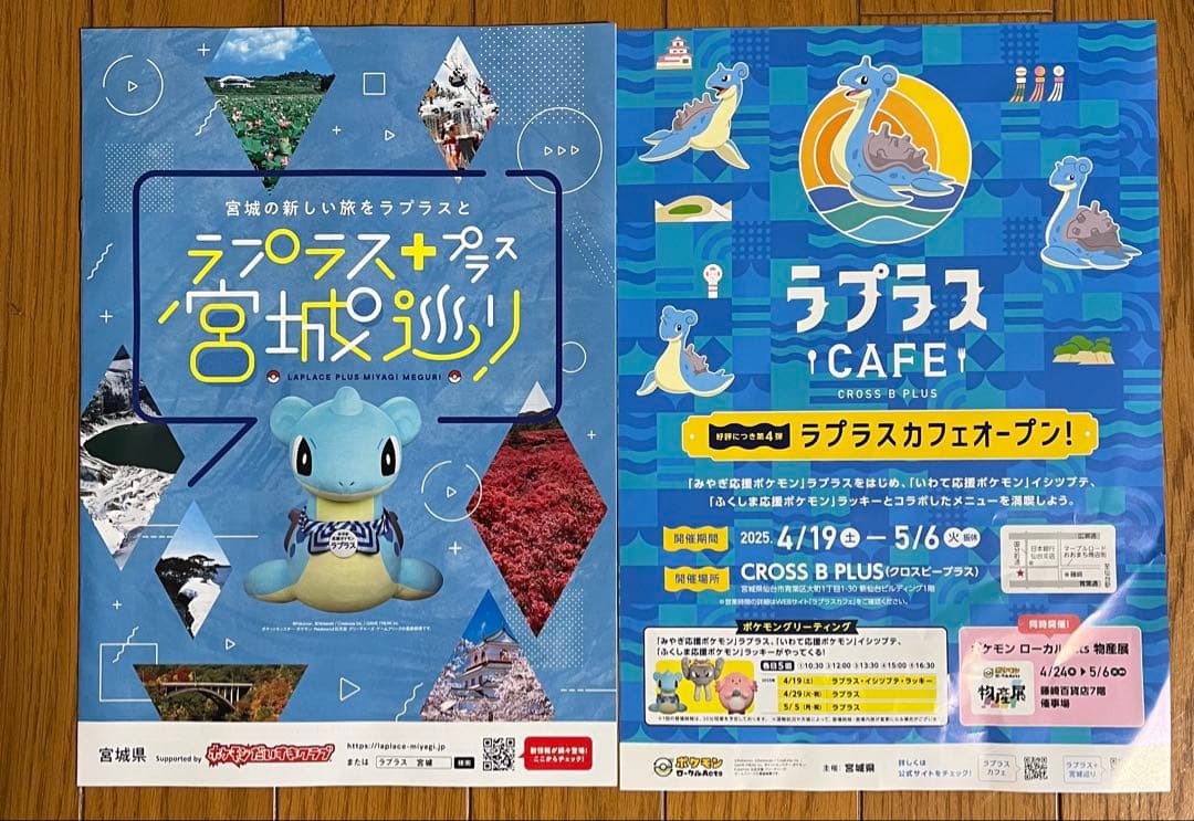 ポケモン物産展 宮城 北海道 ROKON JET HOKKIDO 巾着