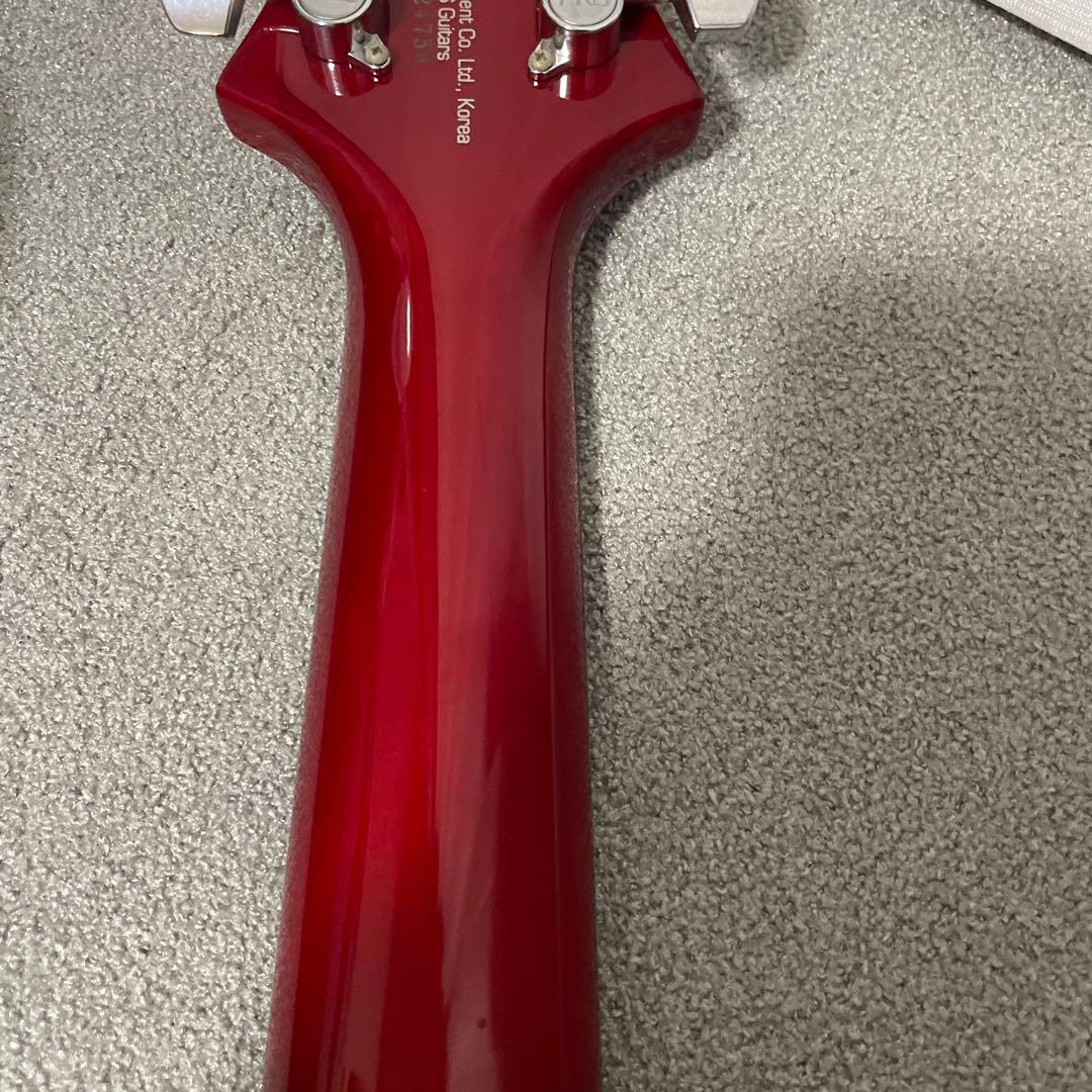 Paul Reed Smith (ポールリードスミス) エレキギター