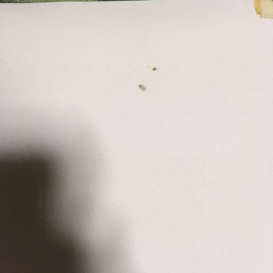 最終価格　超希少綾瀬はるか水着非売品特大ポスター