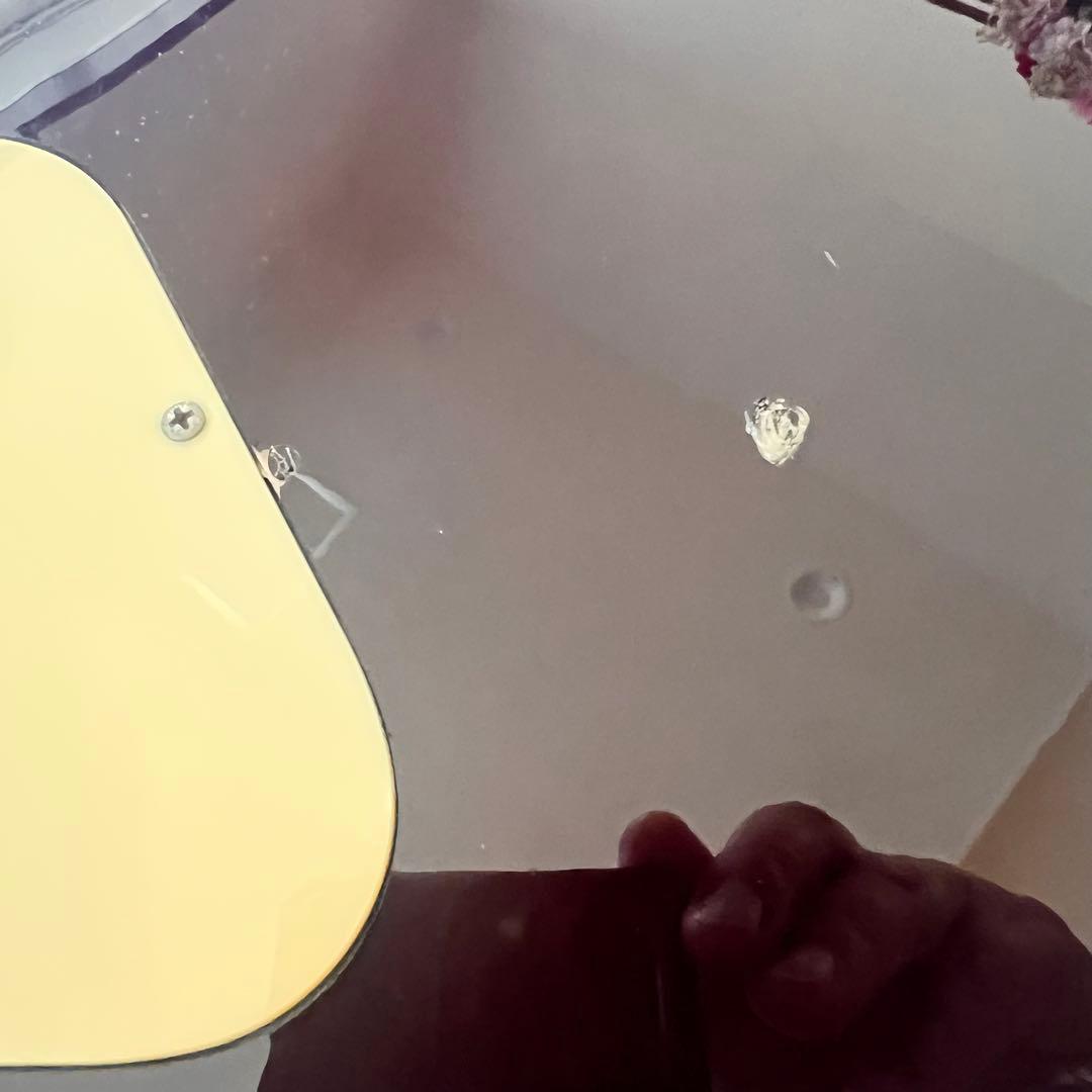 バーニー　レスポールタイプ