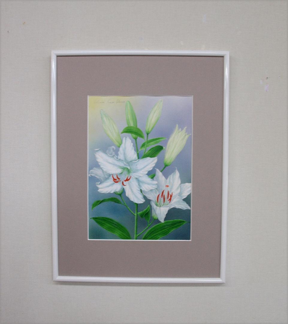 【絵画】ボタニカルアート　「カサブランカ　高貴」原画