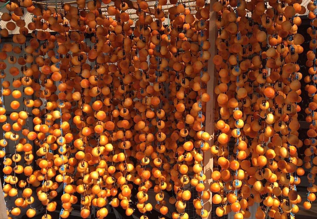 ピスタチオ ページ