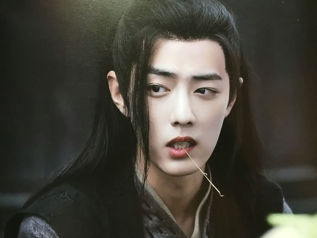 175超レア陳情令 魏無羡オンリー主演 肖戦ハードカバー大PB写真集