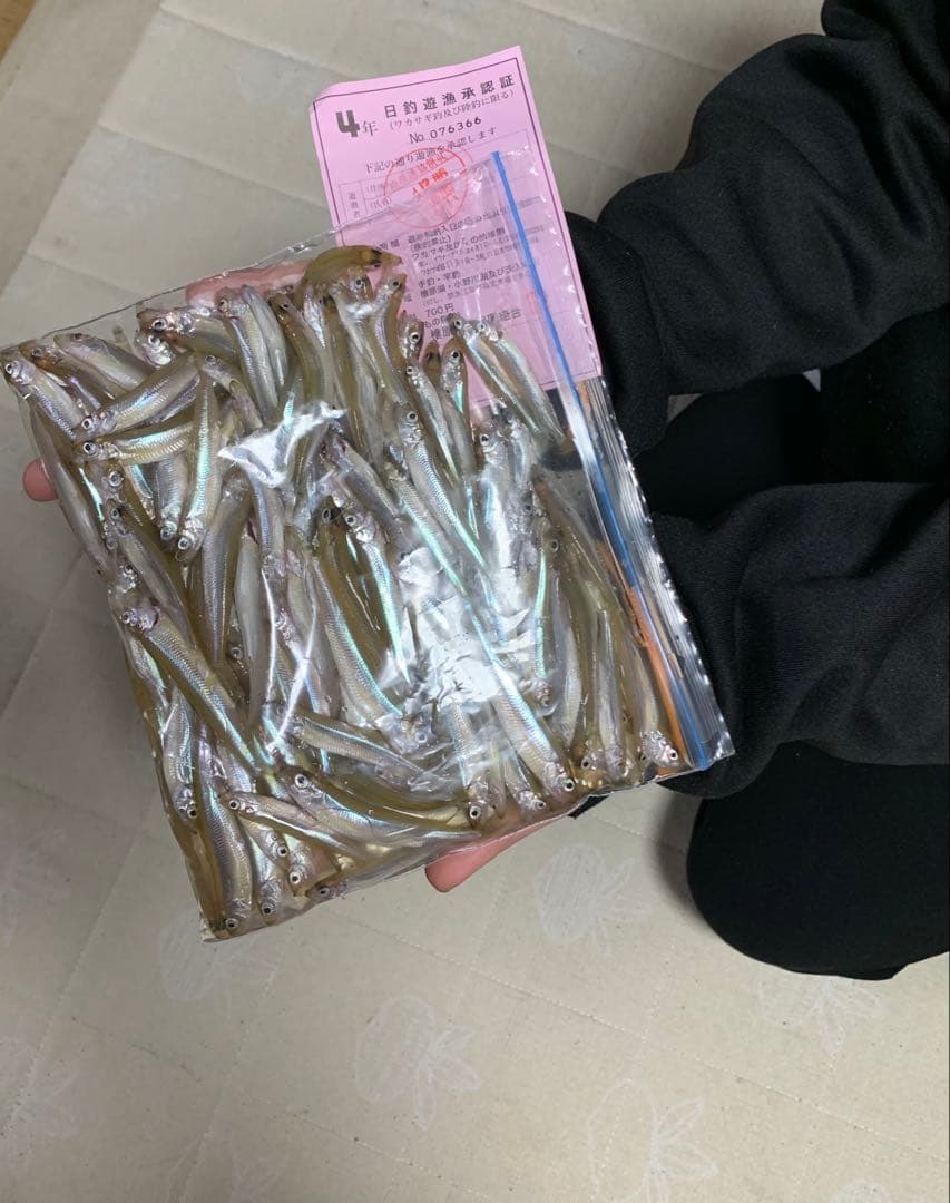 ワカサギステンレス穂先　　 255ミリ　　２本