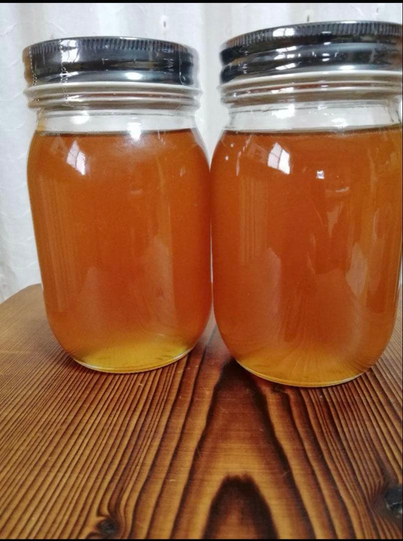 100%天然生ハチミツ　日本ミツバチの蜂蜜620g✖️２本