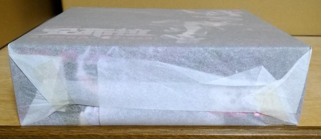 【新品未開封】EveDシリーズ AMBRA-02(ストライクキャット) アンブラ