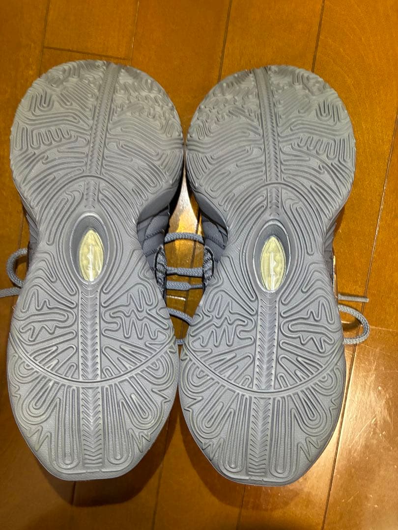 NIKE LEBRON XXI EP27cmナイキレブロン21EPクールグレー