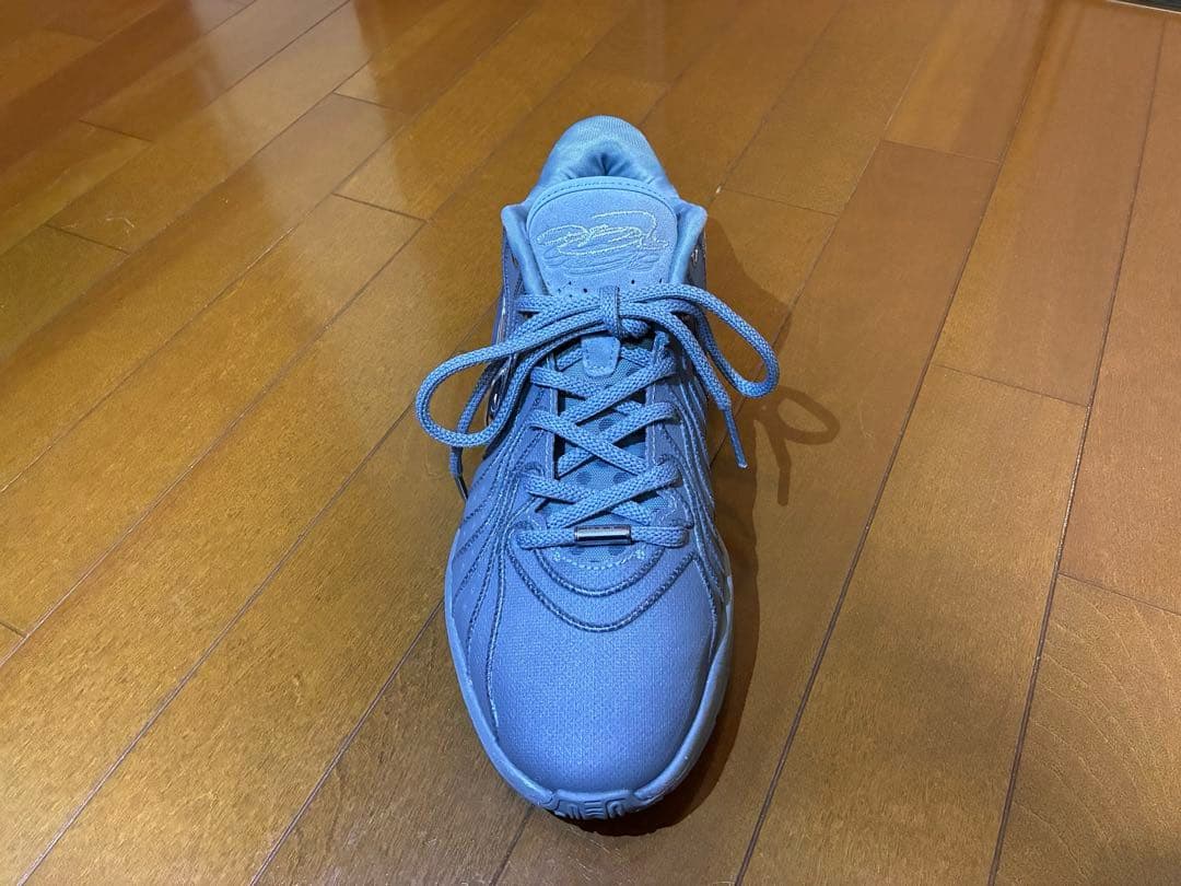 NIKE LEBRON XXI EP27cmナイキレブロン21EPクールグレー