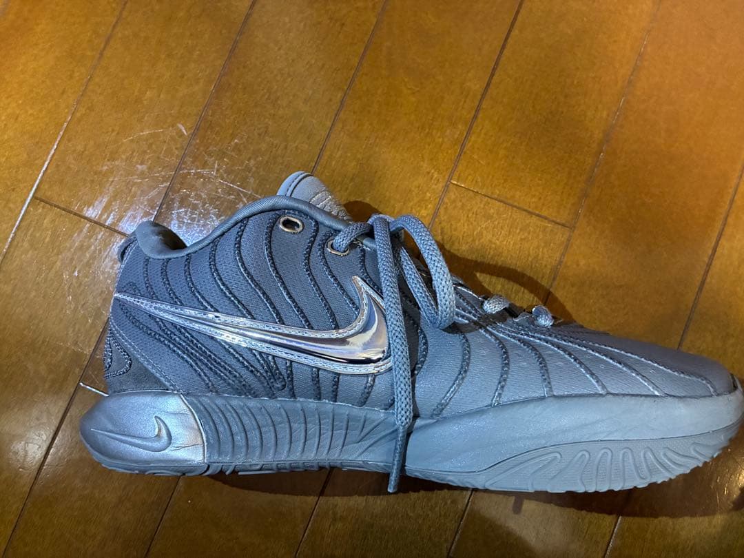 NIKE LEBRON XXI EP27cmナイキレブロン21EPクールグレー