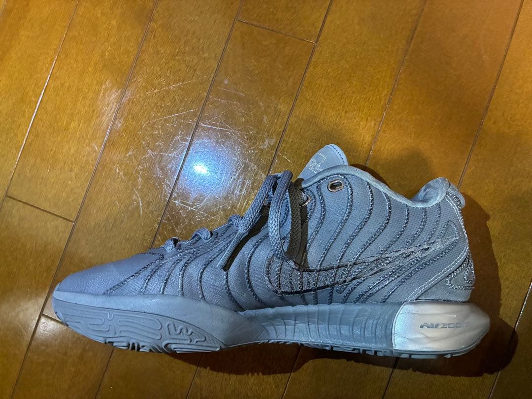 NIKE LEBRON XXI EP27cmナイキレブロン21EPクールグレー