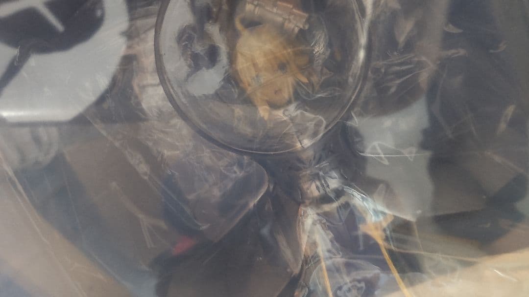 セイバー アルトリア conofig