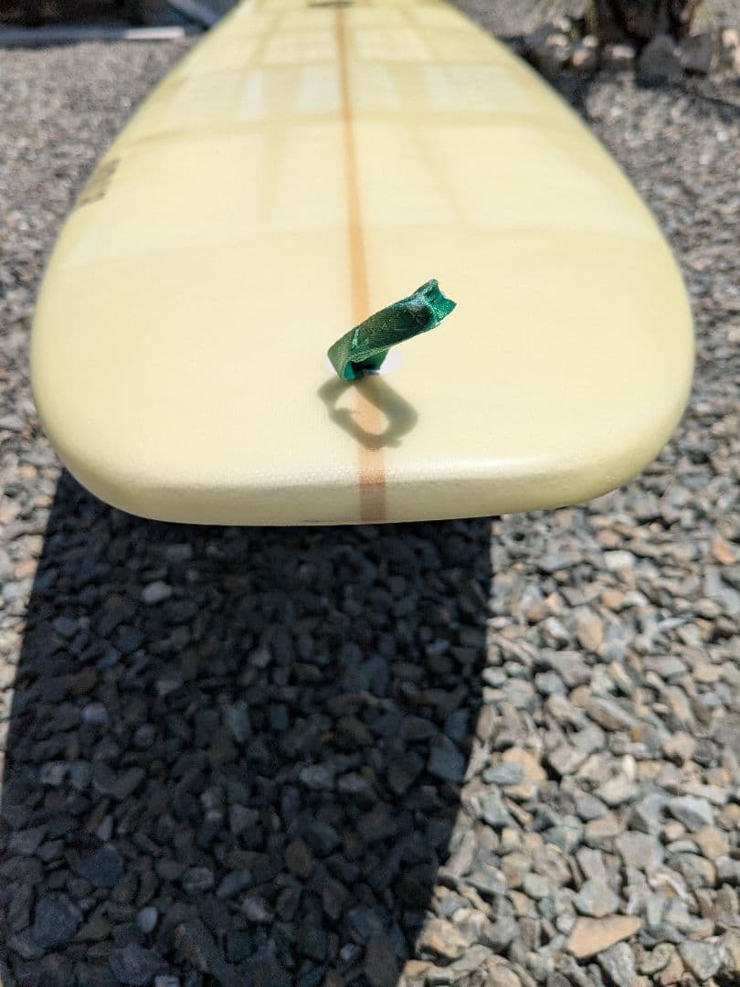 ロングボード EPS 9,1