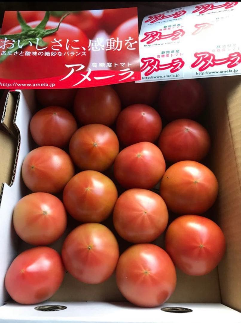 5ケース　アメーラトマト　自信あります！　高糖度　フルーツトマト　品質鮮度抜群！