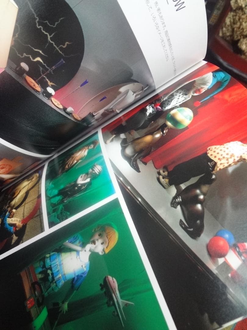 IMAGE by PER SCHMØLCHER ディスプレイ・スタイル入手困難