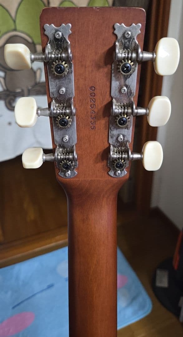 てぃーだマンArt&Lutherie AMI CEDAR BLUE ギター