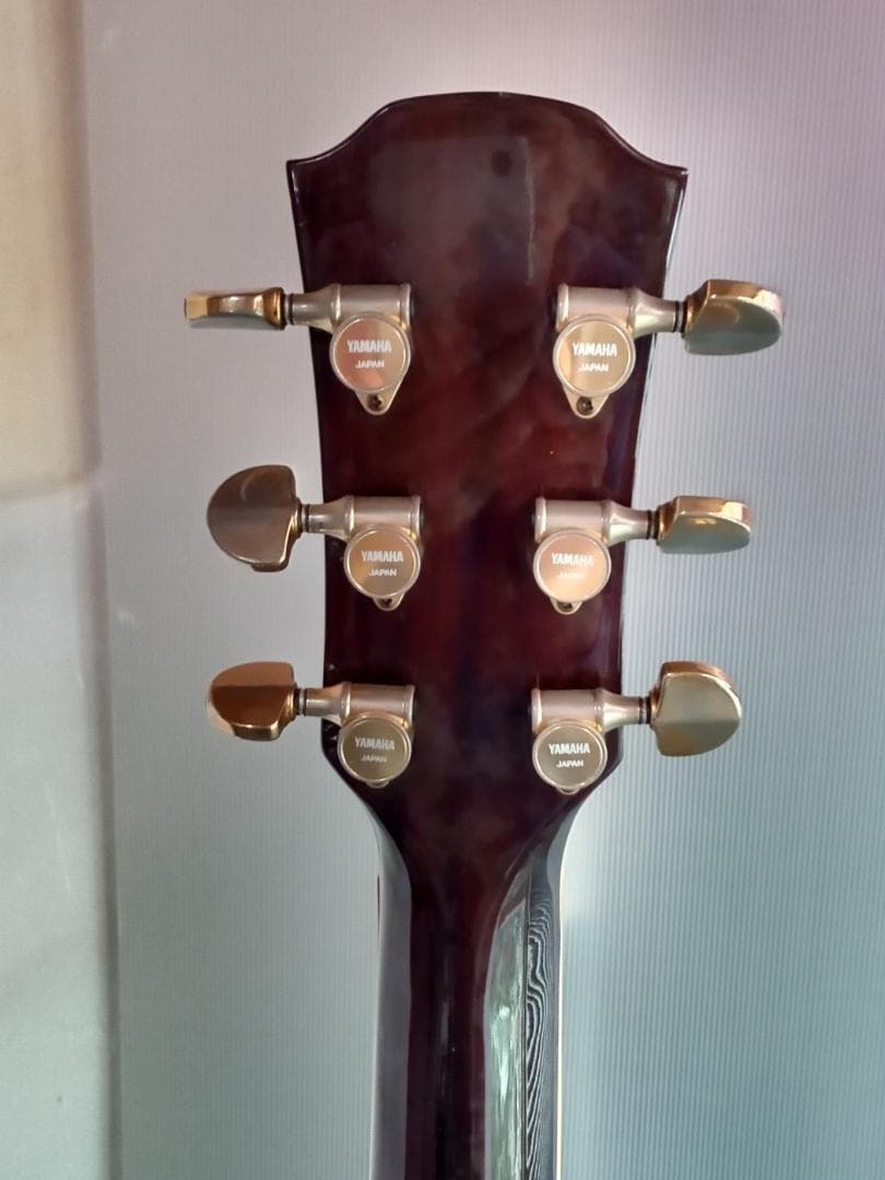 YAMAHA エレアコ APX10