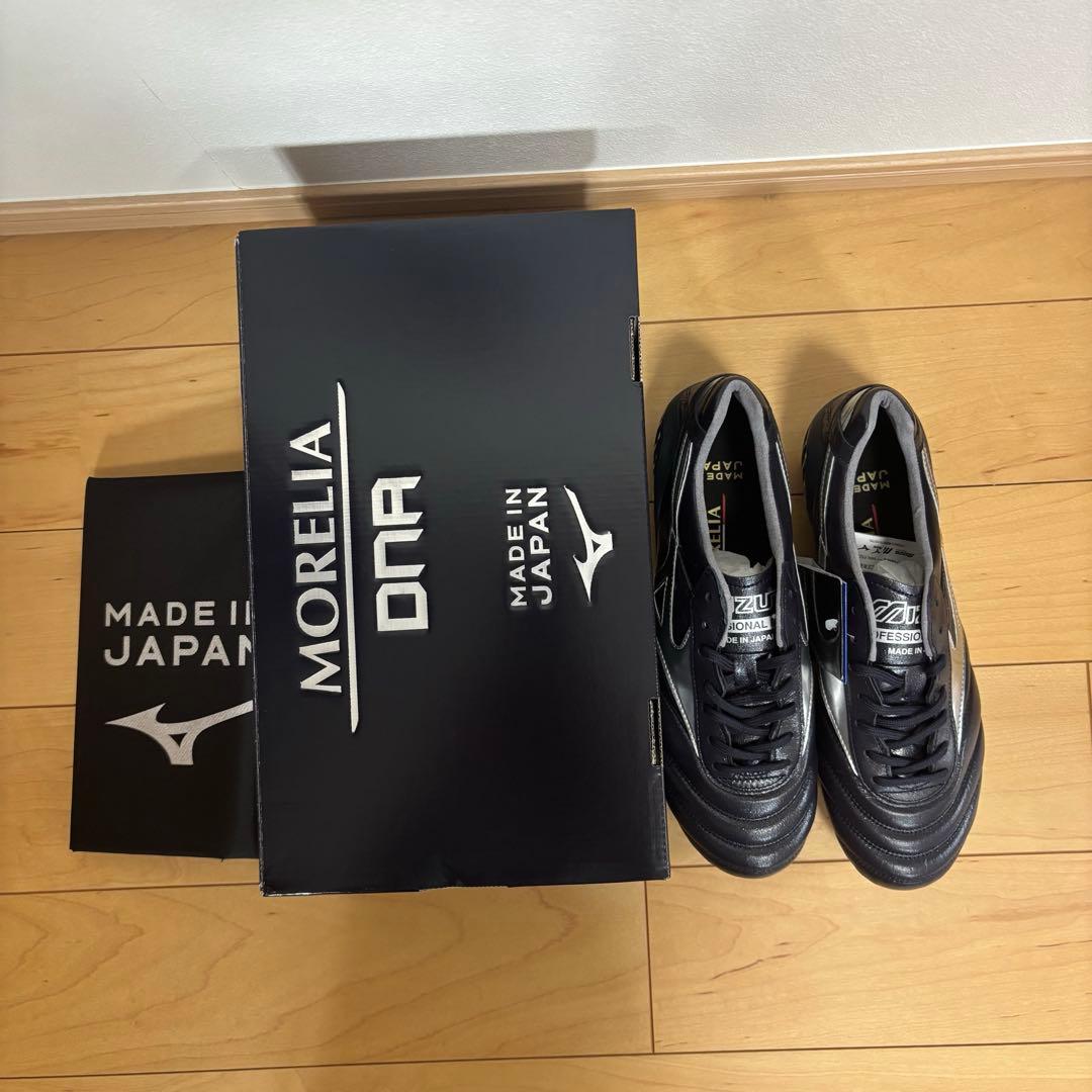 モレリア DNA japan