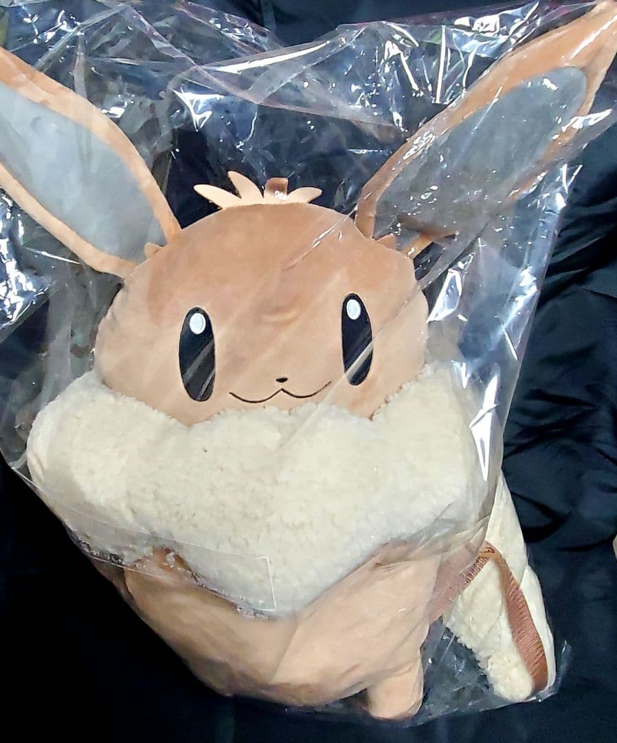 ポケモン★イーブイ★ボタン★イーブイリュック★未開封品★