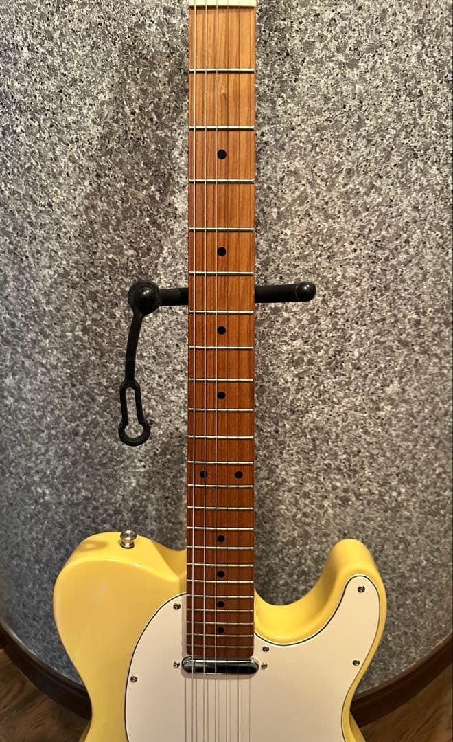 【怒犬-Dokken-】バッカス ユニバース テレキャスBTE-3改