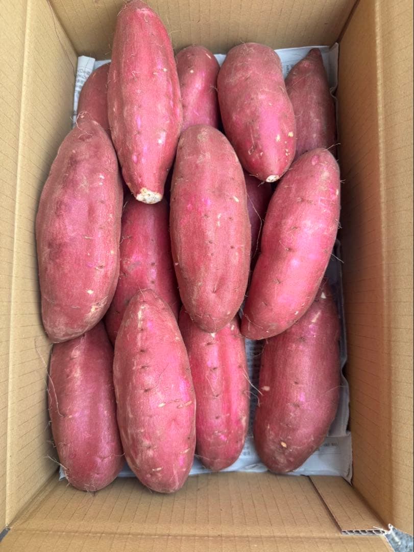 専用シルクスイート　さつまいも　訳あり Lサイズ　20kg