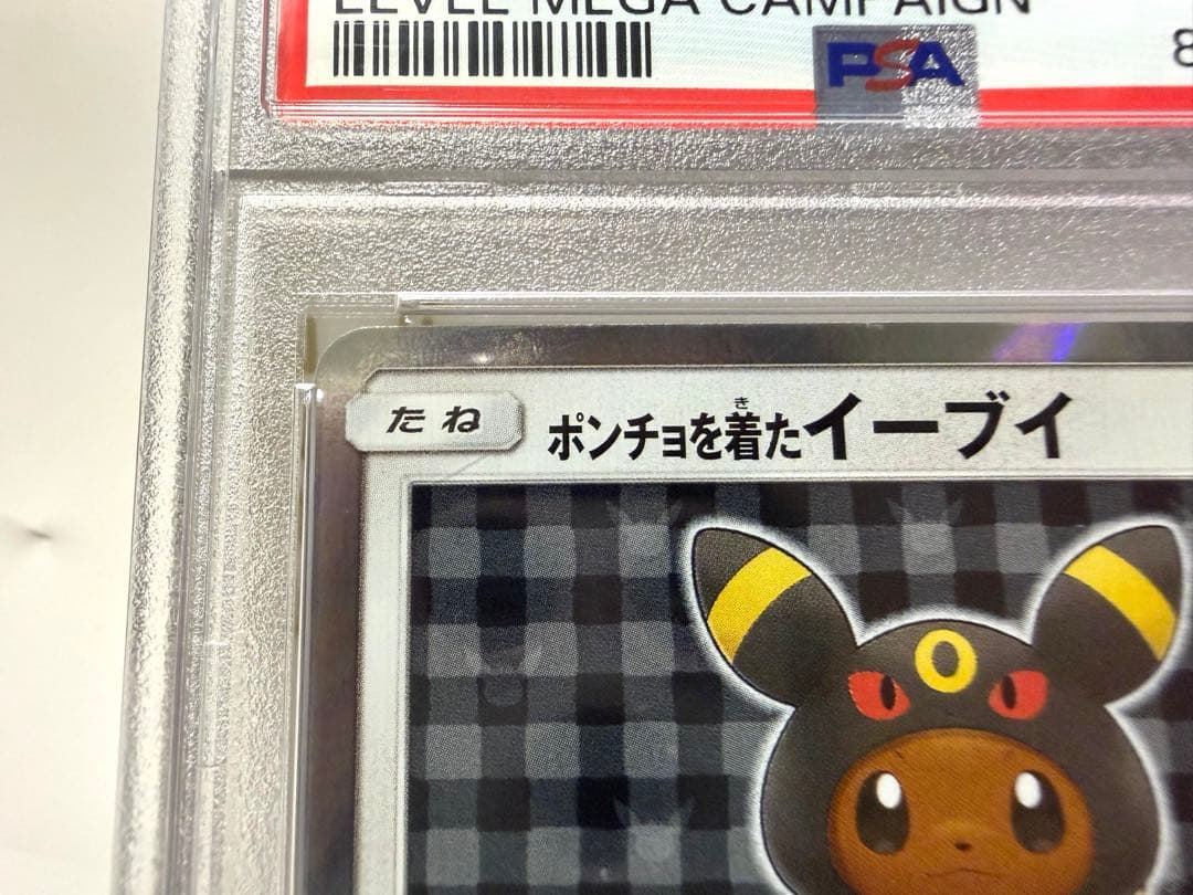 めいめいページ ポンチョを着たイーブイ ブラッキー【PSA10】