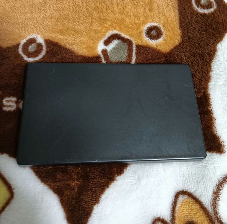 ポケモン　陶飾り ピカチュウとライコウ