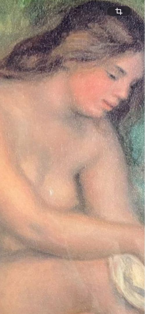 ピエール＝オーギュスト・ルノワール（1841-1919）