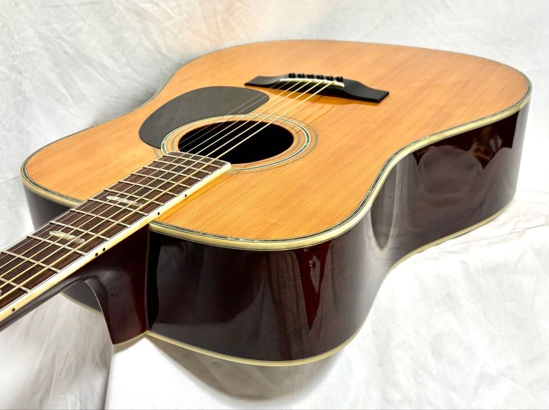 【新品弦張替済】MORRIS アコースティックギター W-60