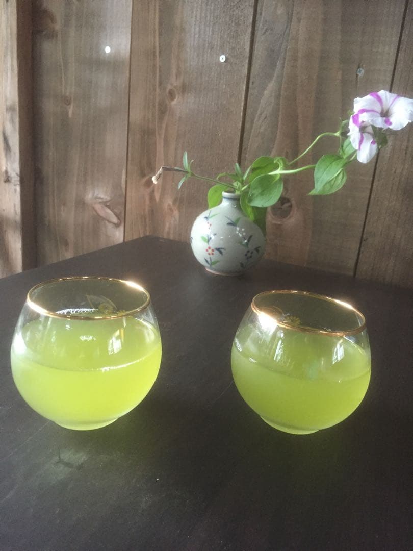 エルメス　100g（5g×20個）×10袋 無農薬栽培の川根茶農家直売