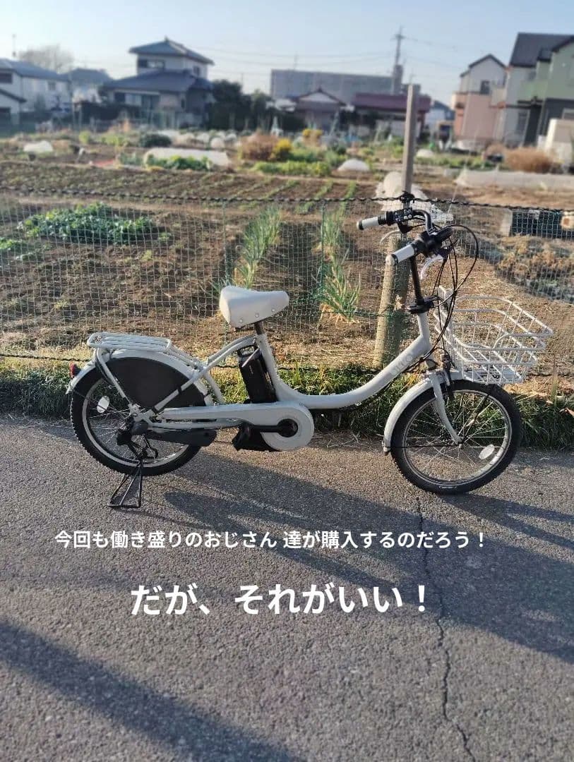 BRIDGESTONE　bikke2e