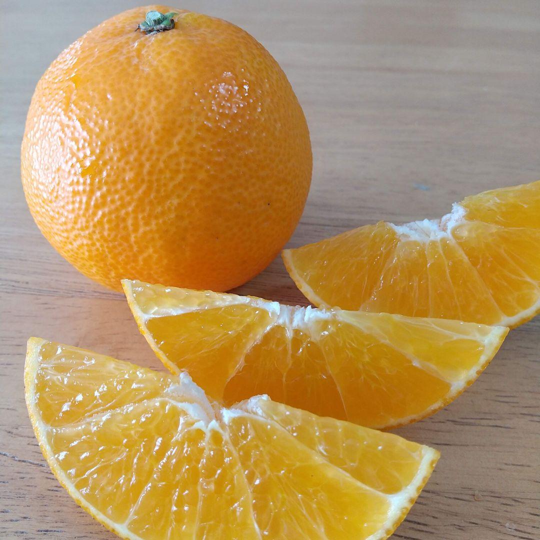 【ニコニコ】487愛果 まどんな 家庭用 ５kg × 二箱