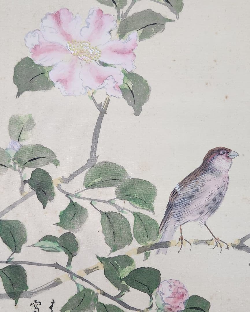 【牡丹に雀図】結城素明 2656 ボタン 掛け軸　肉筆