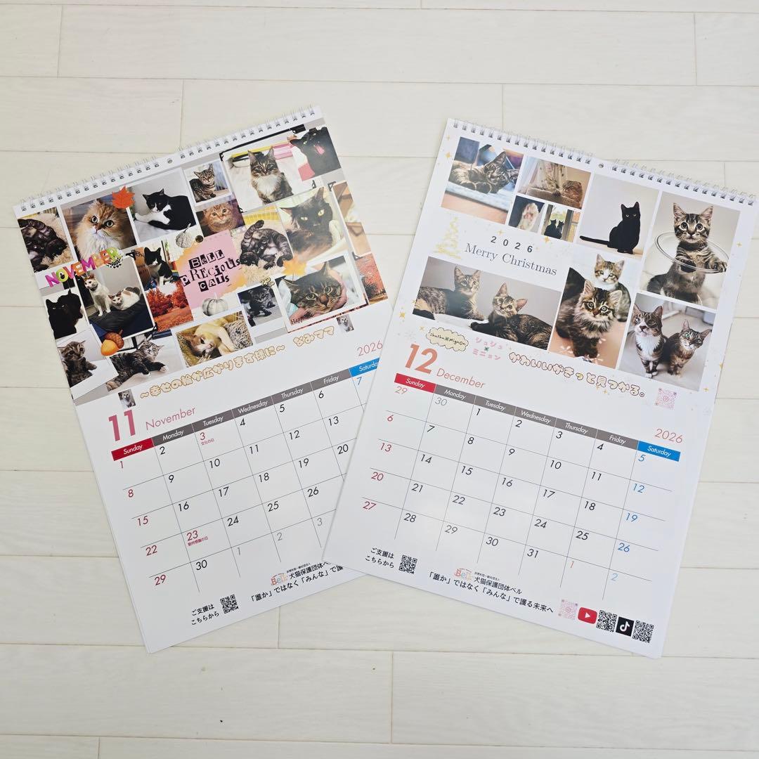 ②《猫》壁掛けチャリティーカレンダー5枚セット