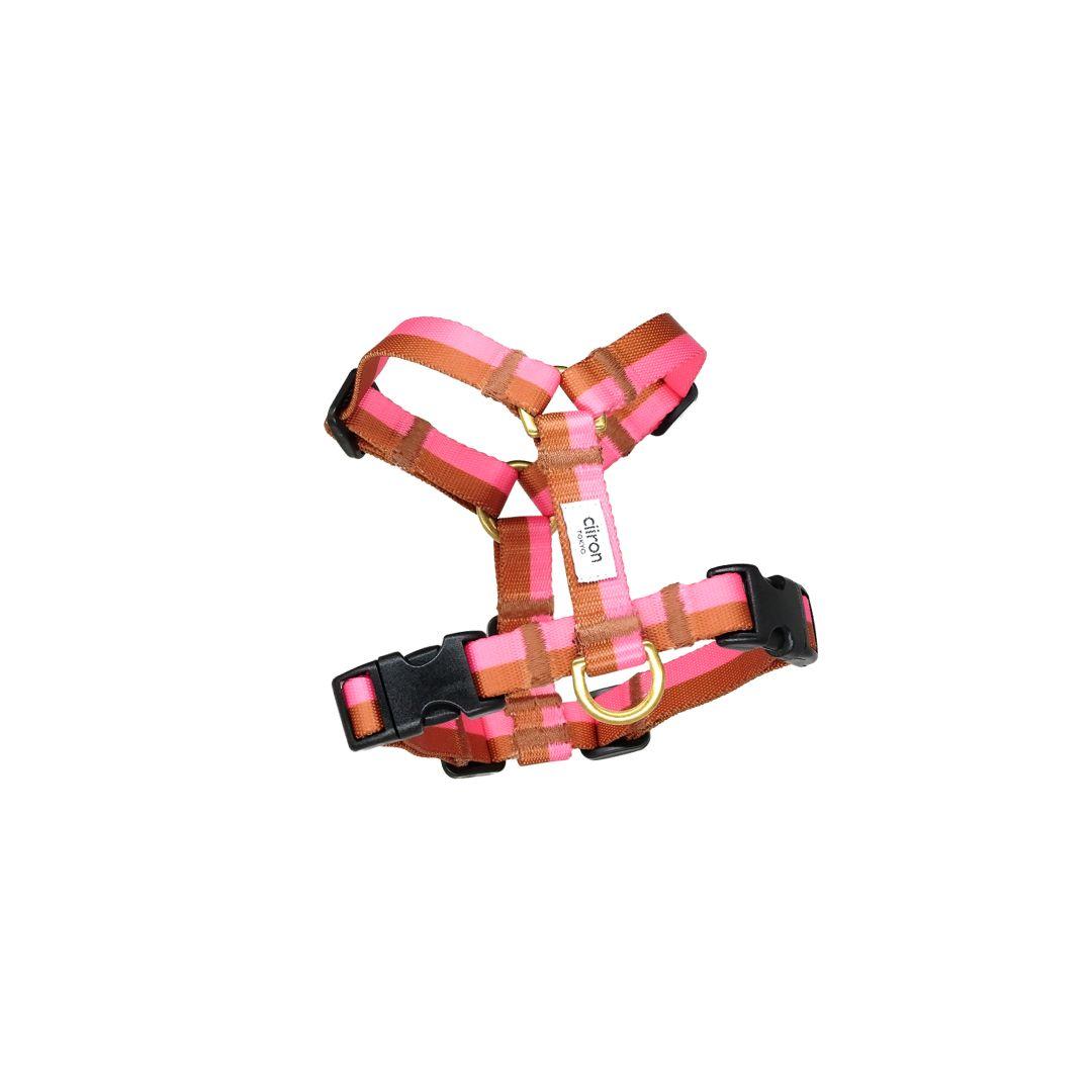 Ciiron Tokyo ハーネスPlum＆ショルダーリード セット