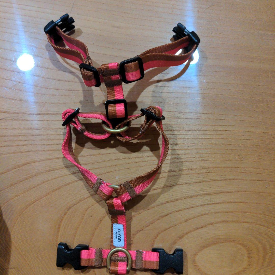 Ciiron Tokyo ハーネスPlum＆ショルダーリード セット