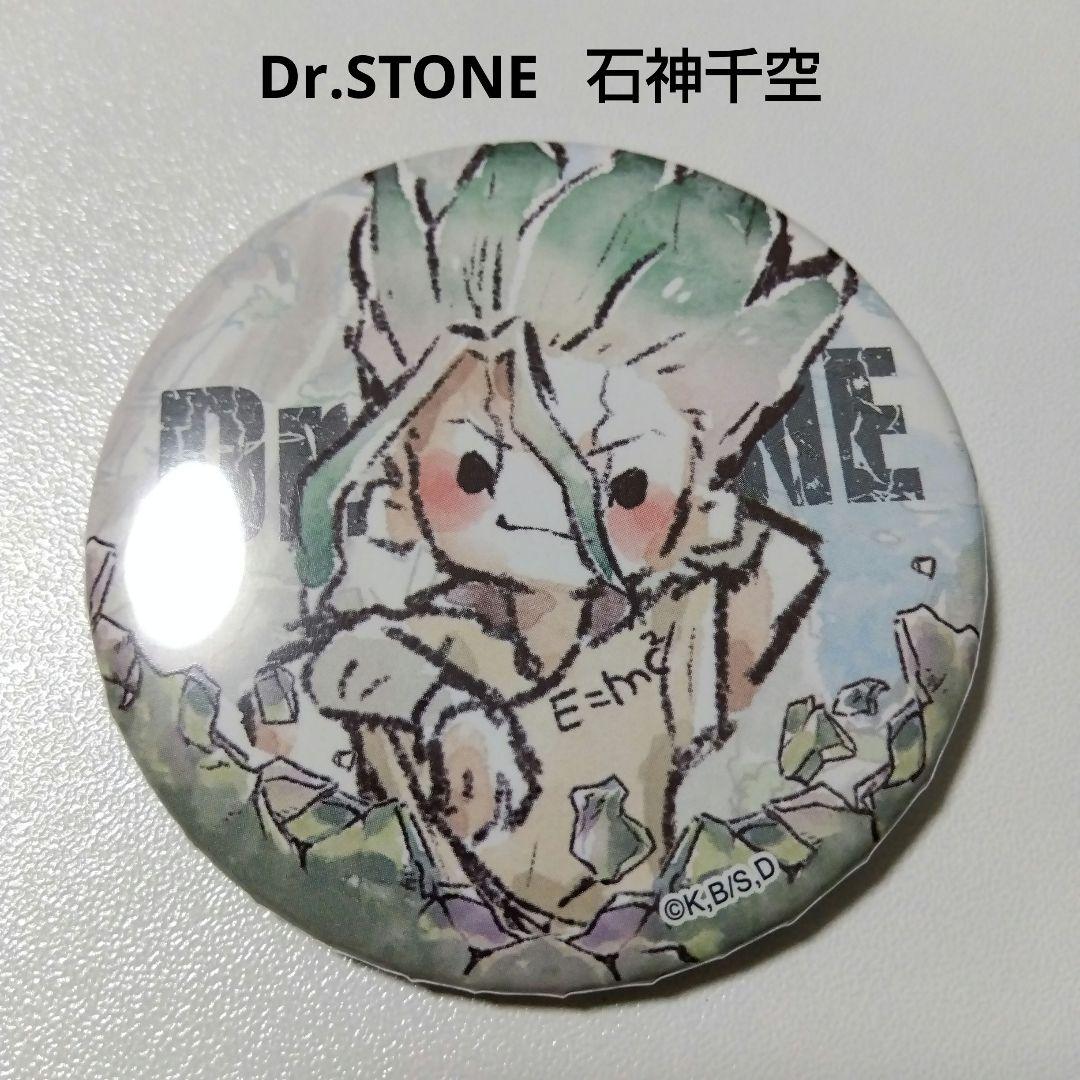 【Dr.STONE】石神千空 グラフアート 缶バッジ